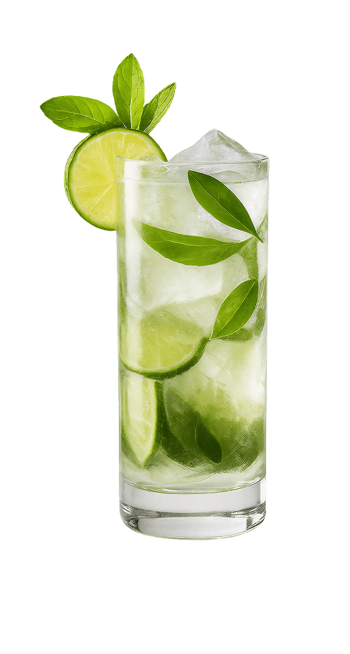 Mojito